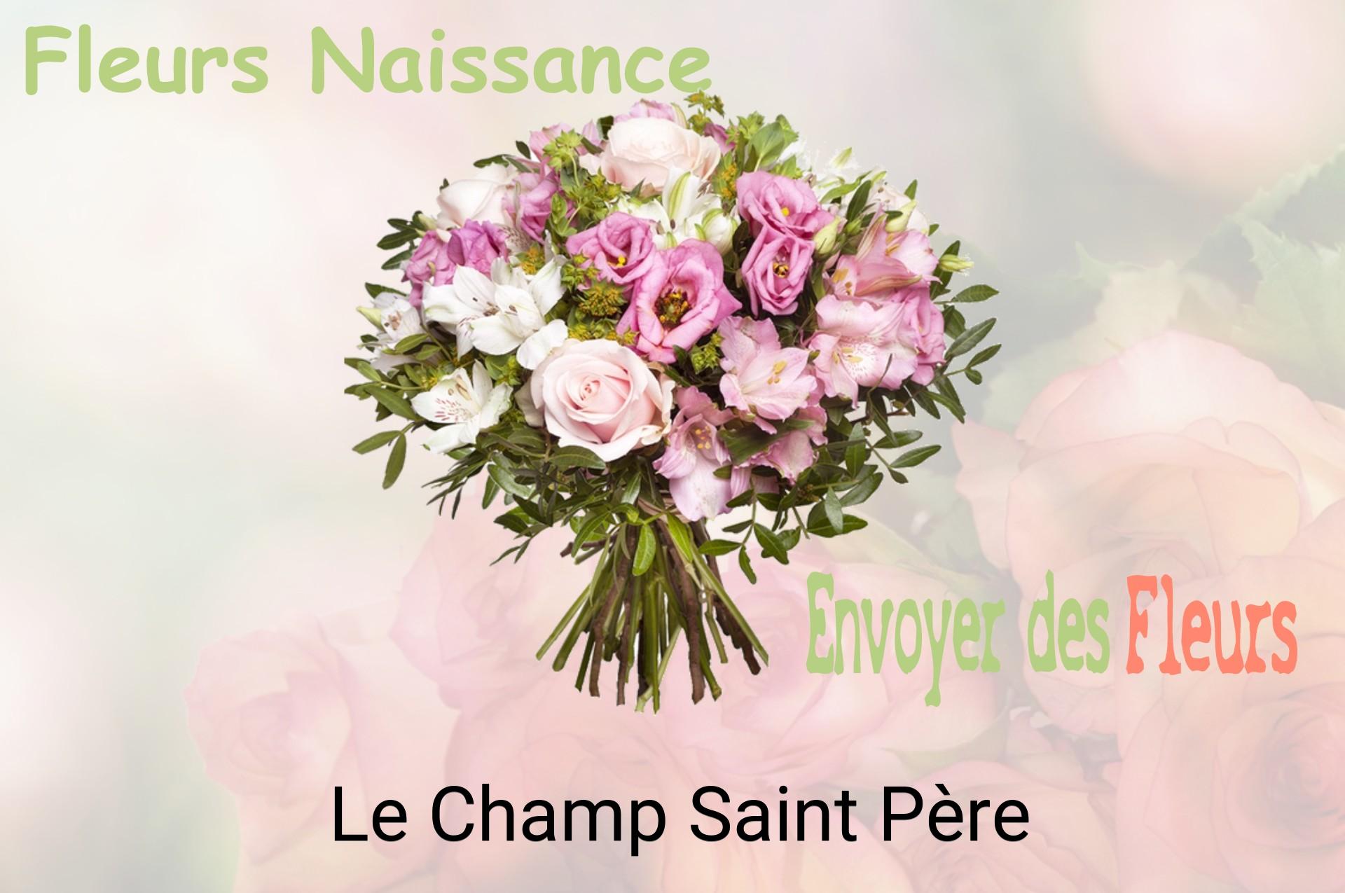 Bouquet de fleurs de naissance livré à Le Champ-Saint-Père