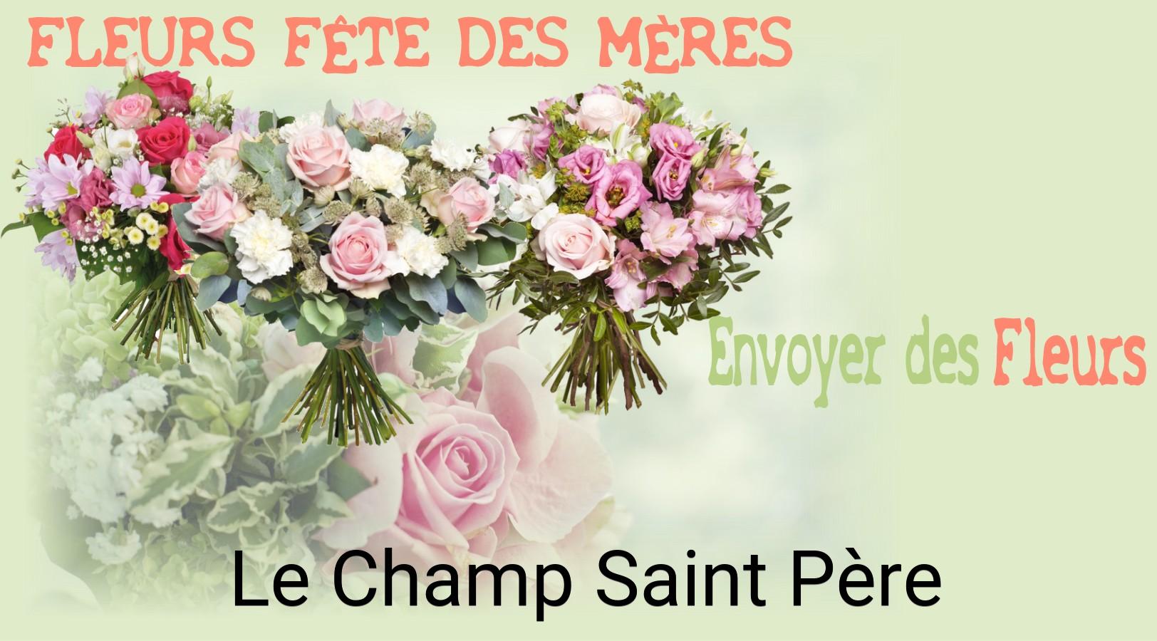 Bouquet de Fête des Mères livré à Le Champ-Saint-Père